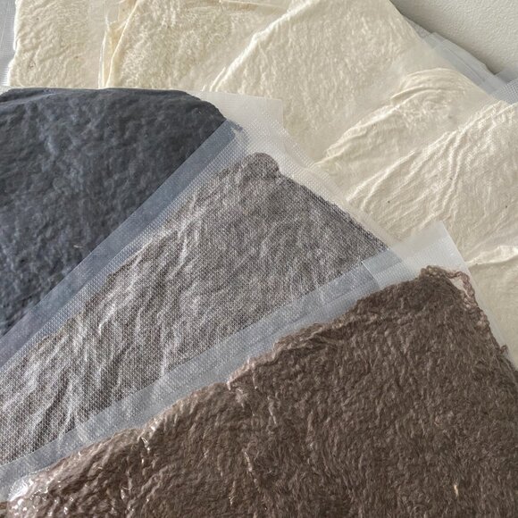 NWT Long Way Homestead Breed Specific Yarn - Monthly Subscriptions Lot of 9 - Picture 5 of 8